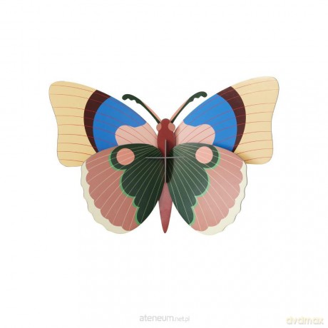 Model kartonowy 3D Wall Art - Cepora Butterfly [PUZZLE]