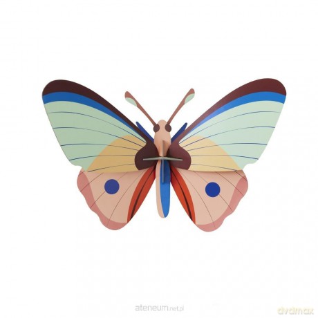 Model kartonowy 3D Wall Art - Cattlehart Butterfly [PUZZLE]