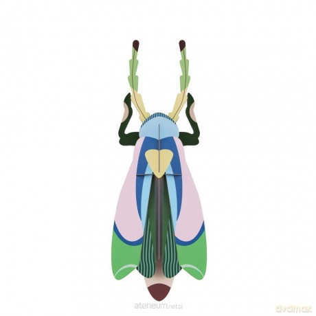 Model kartonowy 3D Wall Art - Beettles. Sakura [PUZZLE]