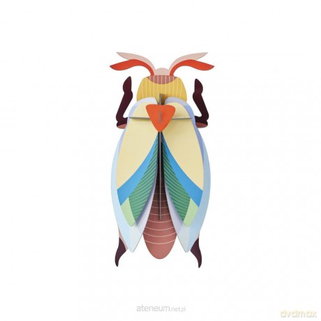 Model kartonowy 3D Wall Art - Beettles. Lunar... [PUZZLE]
