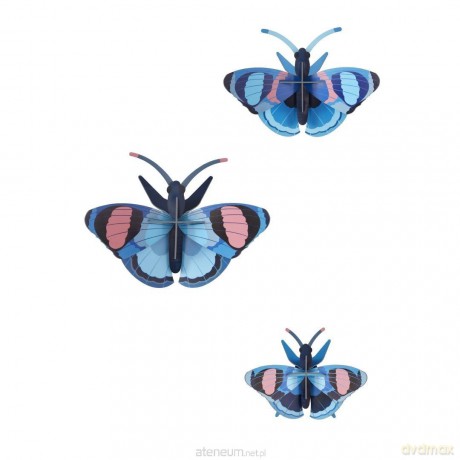 Model kartonowy 3D Wall Art - Peacock... 3szt [PUZZLE]