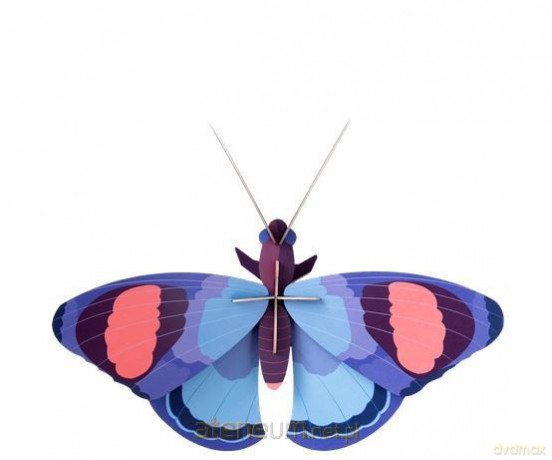 Model kartonowy 3D Wall Art - Peacock Butterflies [PUZZLE]