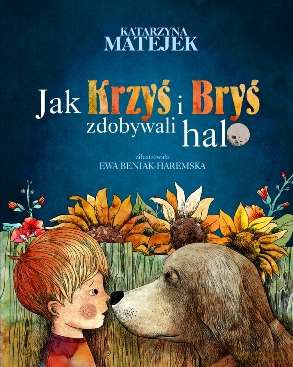 Jak Krzyś I Bryś Zobywali Halo TW - Katarzyna Matejek [KSIĄŻKA]