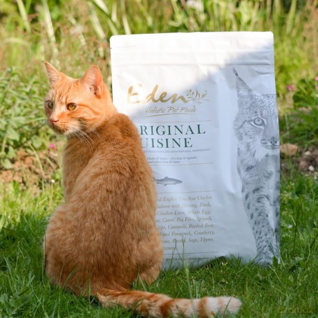 Eden - Original Cuisine Cat - 10kg
