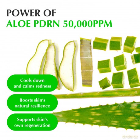 Eqqualberry - Aloe PDRN Calming Serum - 30 ml