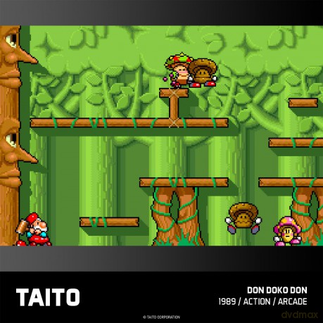 Evercade - Taito Arcade 1 EVER INT