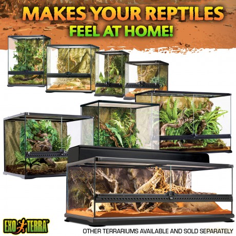 Exoterra - Terrarium Nano Wide - 20 x 20 x 20 cm