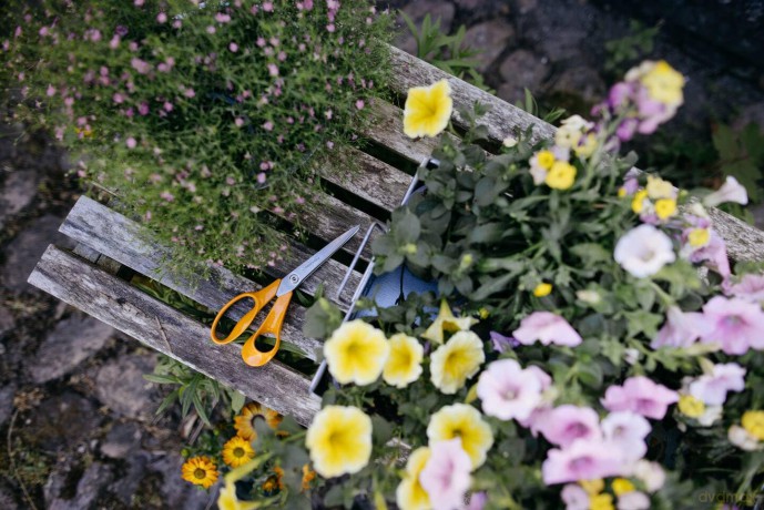 Fiskars - Classic Universal Scissors - 21 cm