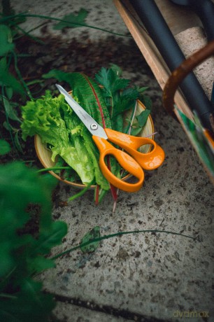 Fiskars - Classic Universal Scissors - 21 cm