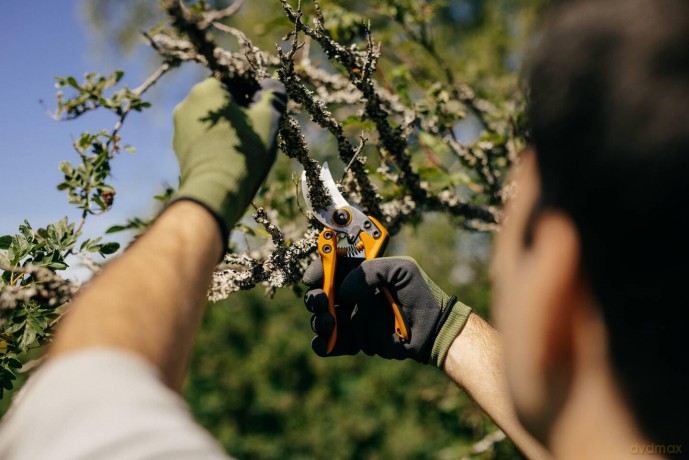 Fiskars Pro Pruning Shears PB-8 M