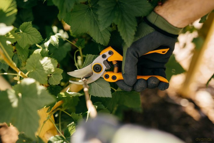 Fiskars Pro Pruning Shears PB-8 M