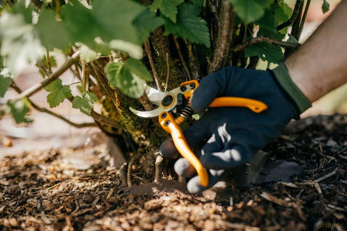 Fiskars Pro Pruning Shears PB-8 M