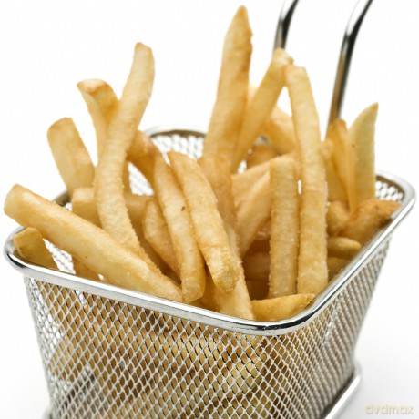 Fritel - FR 1355 Fryer