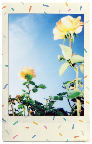 Fuji - Instax Mini 1x10 Shots
