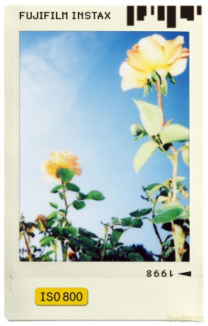 Fuji - Instax Mini 1x10 Shots