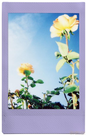Fuji - Instax Mini 1x10 Shots