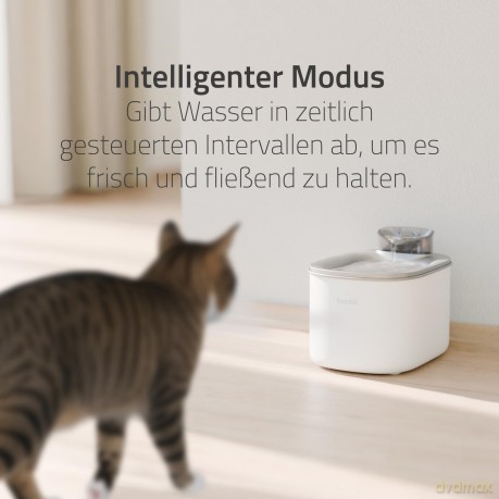 Hombli - Smart Pet Water Fountain