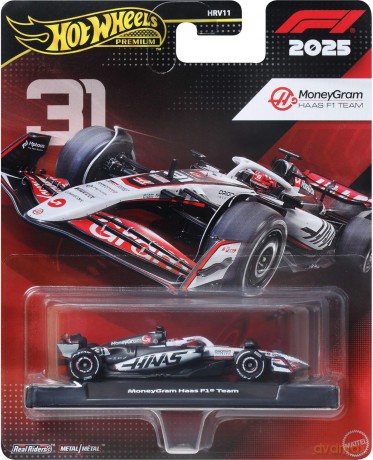 Hot Wheels - Formula 1 Haas RC Driver 1 1:24 (JKD78)
