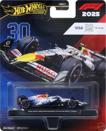 Hot Wheels - Formula 1 Vcarb RC Driver 1 1:24 (JKD79)