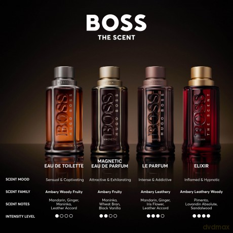 Hugo Boss - The Scent EDT 100 ml + Shoergel 100 ml + Deo Stick - Giftset