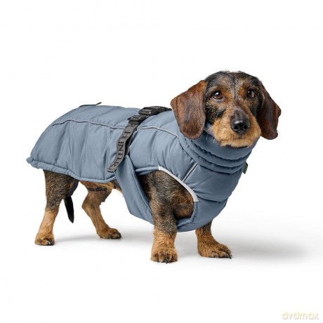 Hunter - Dogcoat Paxson Dachshund 40, caramel - (203510)