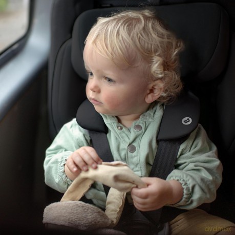 Maxi-Cosi - NOMAD PLUS AUTHENTIC BLACK - Black