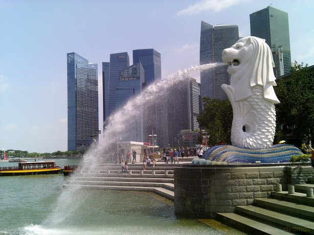 MyFirst - Camera 3 Pink (FC2003SA-PK01)