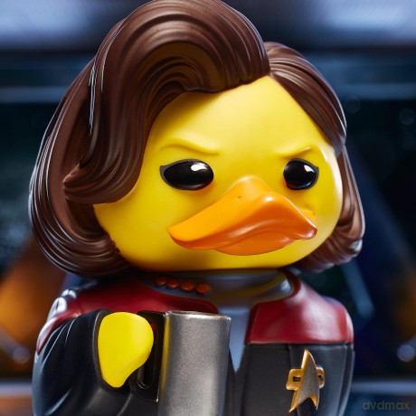 Numskull - Star Trek Tubbz BOXED Kathryn Janeway