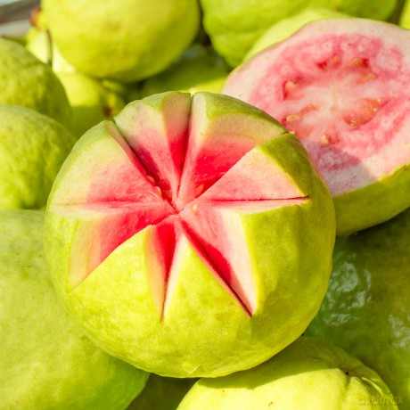 Petal Fresh - Pure Guava Nectar Body Butter