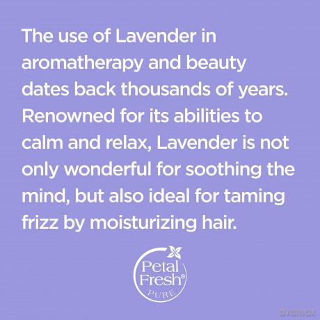 Petal Fresh - Pure Lavender Conditioner