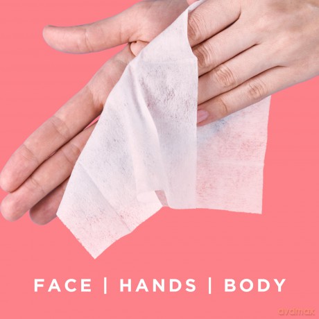 Petal Fresh - Pure Rose Makeup Removing Wipes