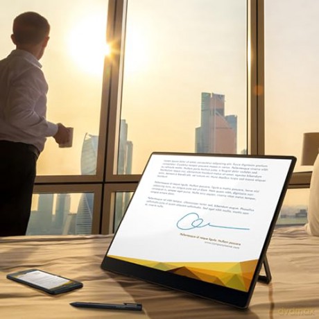 RICOH - Portable Monitor 150 OLED 15,6'' (Wired)