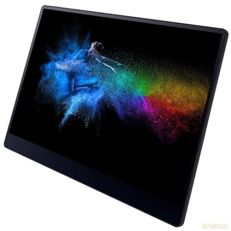 RICOH - Portable Monitor 150BW OLED 15,6'' (Wireless)