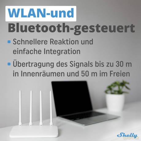 Shelly - BLU Gateway: Elevate Your Smart Home Experience
