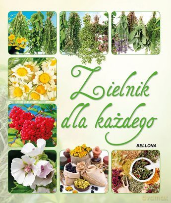 Zielnik Dla Każdego TW [KSIĄŻKA]