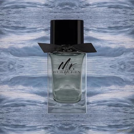 Burberry Mr. Burberry Man EDT 100ml