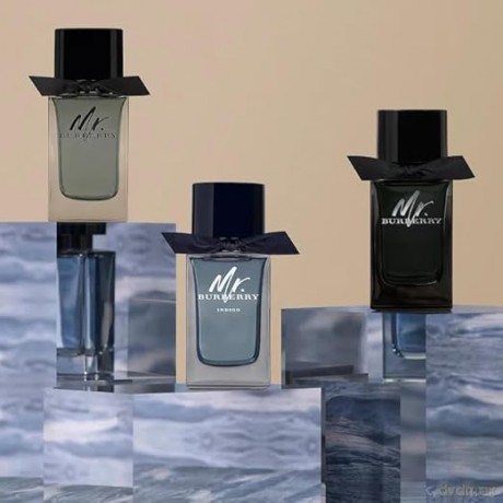 Burberry Mr. Burberry Man EDT 100ml
