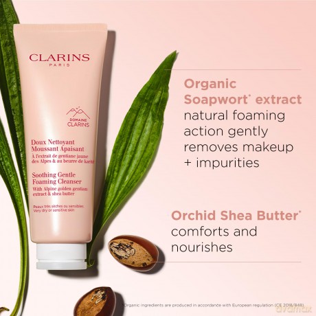 Clarins Soothing Gentle Foaming Cleanser 125ml