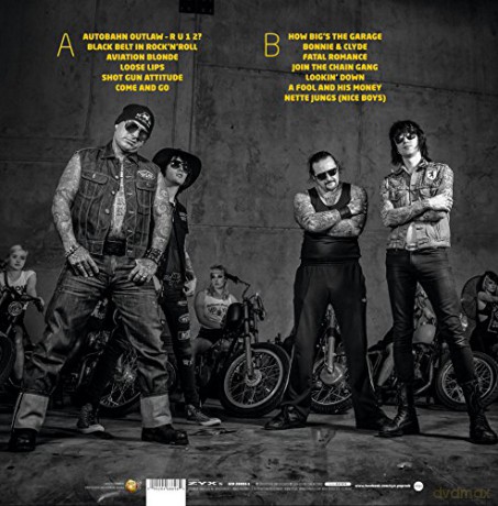 Autobahn Outlaw: Are You One Too [Winyl]