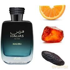 Rasasi Hawas Malibu Man EDP 100ml