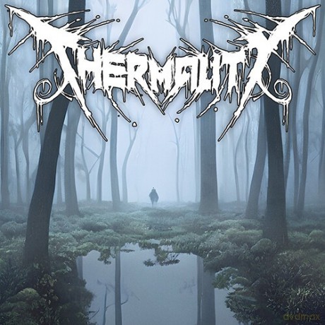 Thermality: Before I Get To Rest [CD]