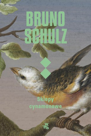 Sklepy cynamonowe - Bruno Schulz [KSIĄŻKA]
