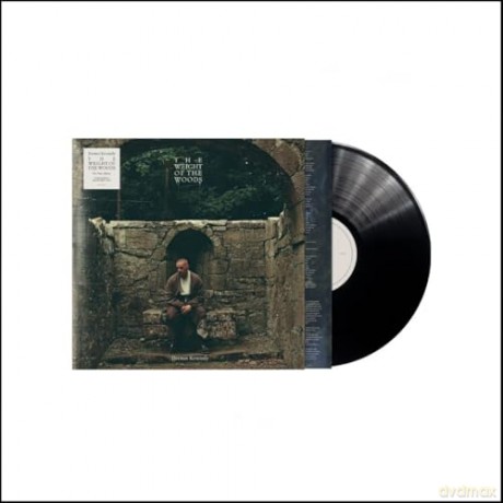 Dermot Kennedy: The Weight Of The Woods: Recycled [Winyl]