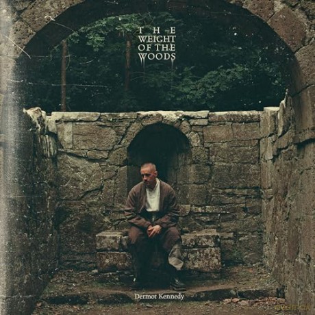 Dermot Kennedy: The Weight Of The Woods: Recycled [Winyl]