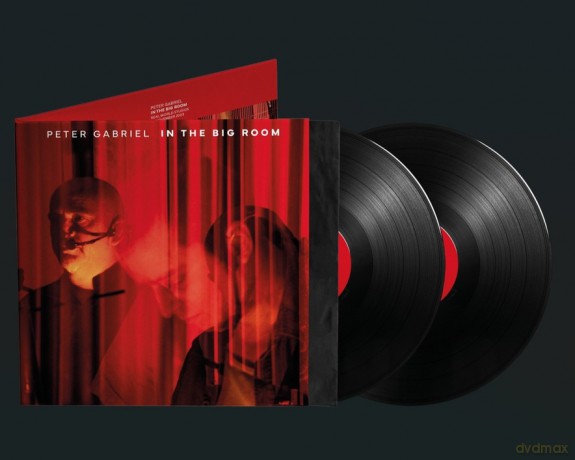 Peter Gabriel: In The Big Room [2xWinyl]