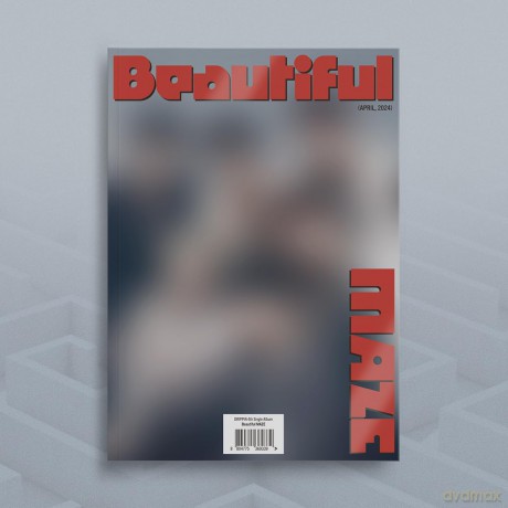 Drippin: Beautiful Maze [CD]