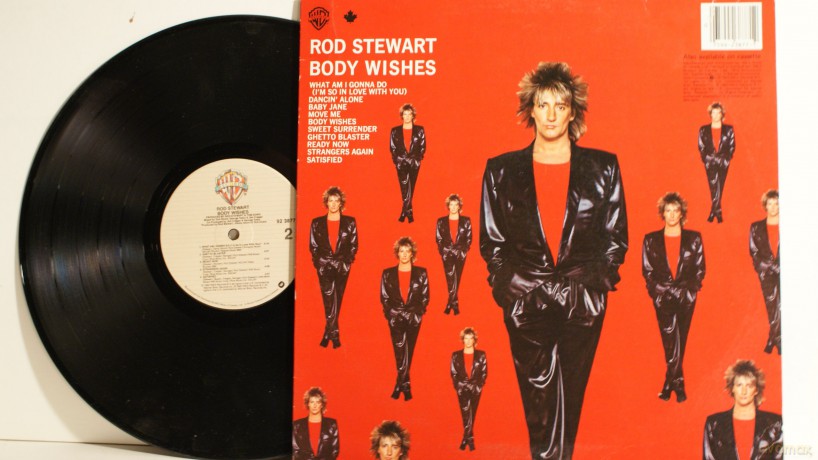 Stewart Rod: Body Wishes [Winyl]