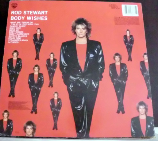 Stewart Rod: Body Wishes [Winyl]
