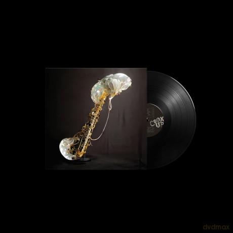 Sam Gendel: Cookup [Winyl]