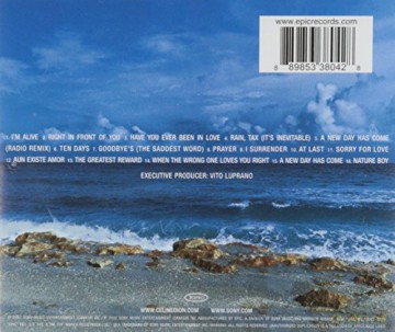 Dion Celine: New Day Has Come [CD]